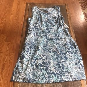 Blue Flared Dress